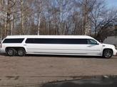 NewLimo 